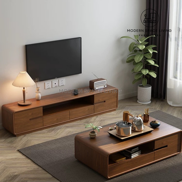 JACOBI Modern TV Console / Coffee Table