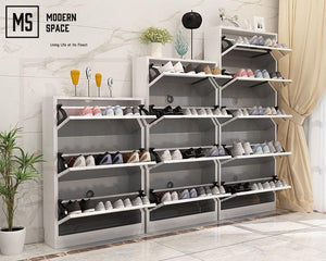 DEXTER Ulta-Slim Mirror Shoe Cabinet