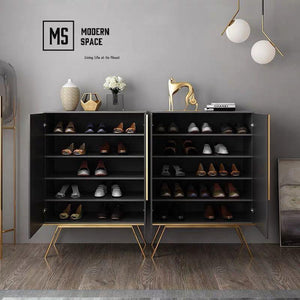 FIXIE Modern Shoe Cabinet